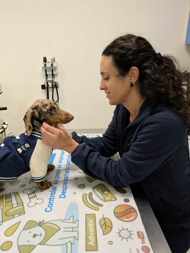 Beatriz Dominguez Veterinario Sevilla
