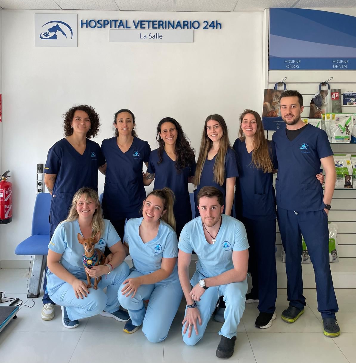 equipo-veterinario-sevilla