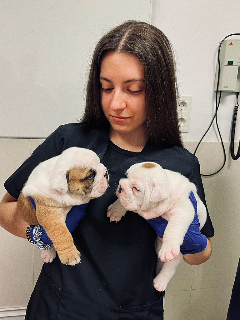 Irene Veterinaria Sevilla