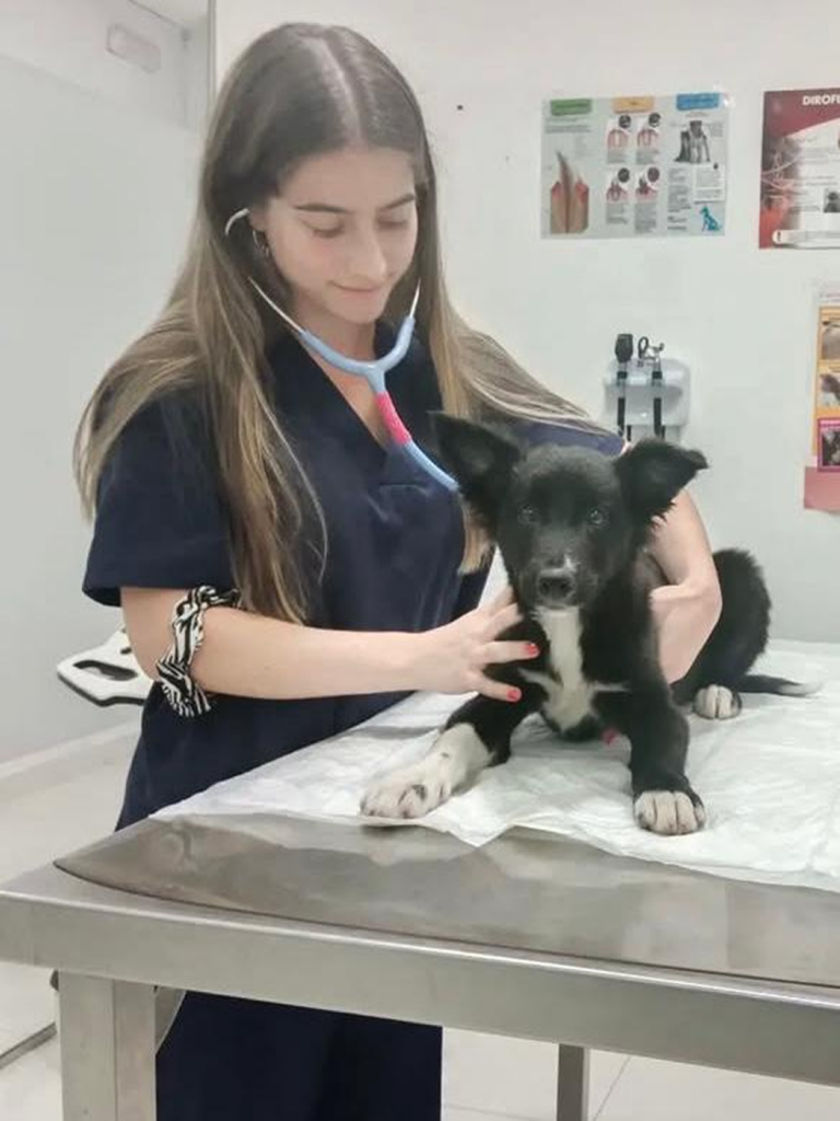 Maria Jose Veterinario Sevilla