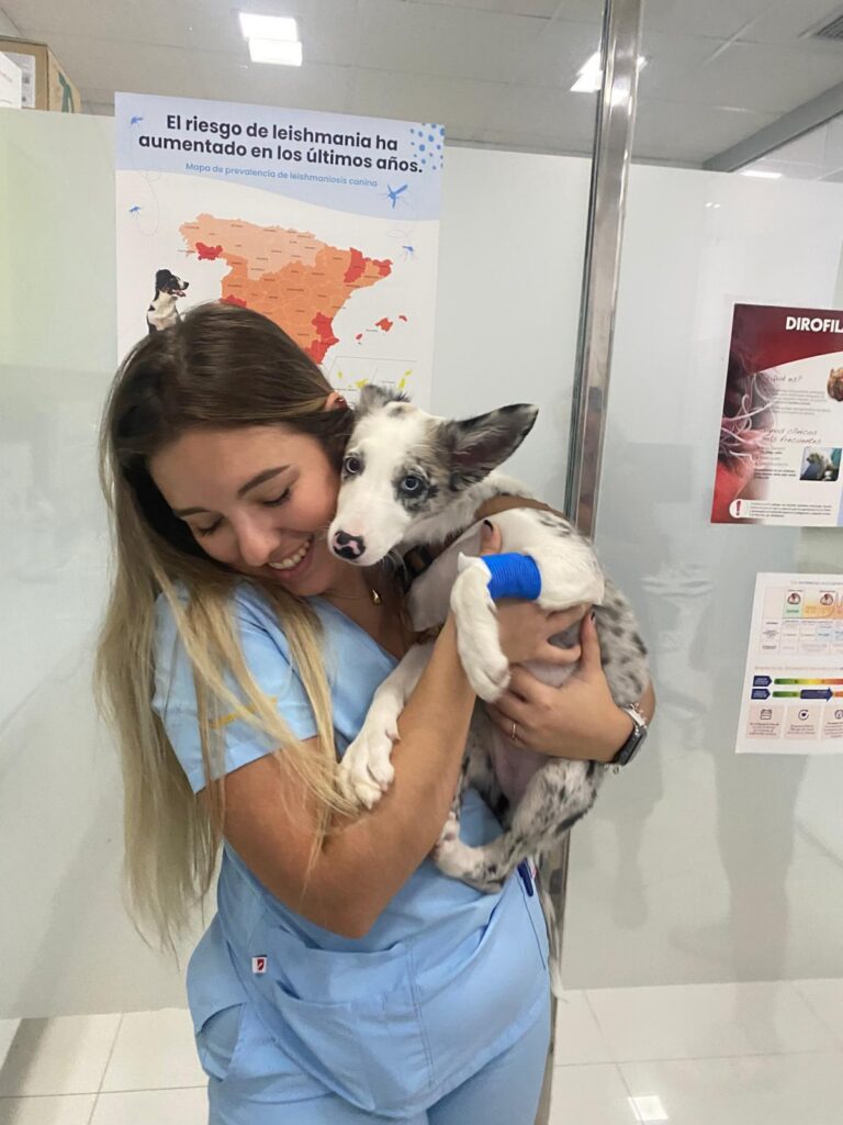 Maria Victoria Veterinario Sevilla