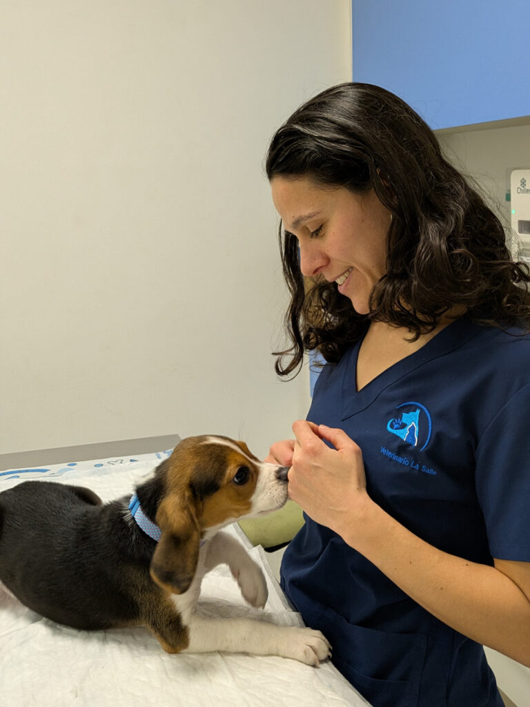 Paloma Silva Veterinario Sevilla
