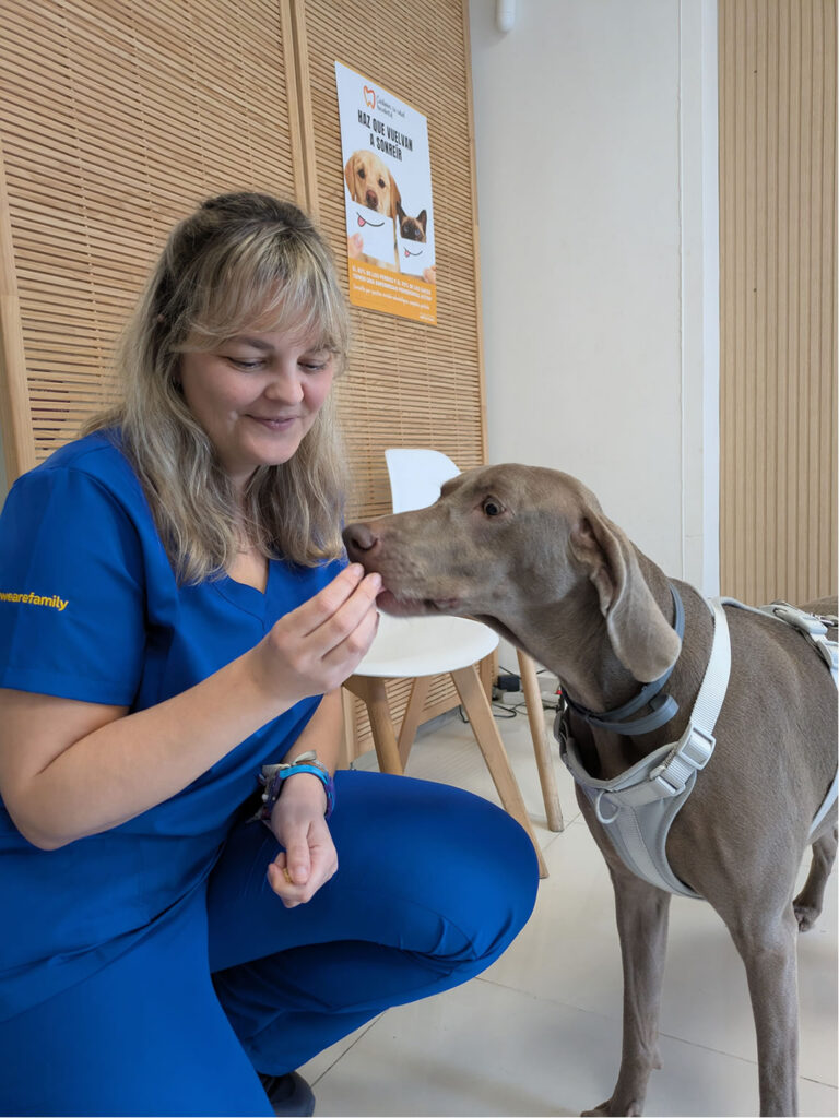 Patricia Lopez Veterinario Sevilla