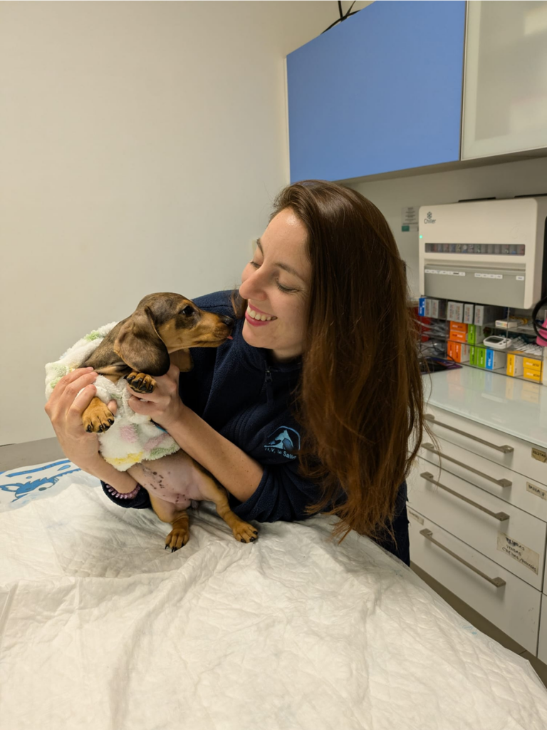 Paula Arenas Veterinario Sevilla