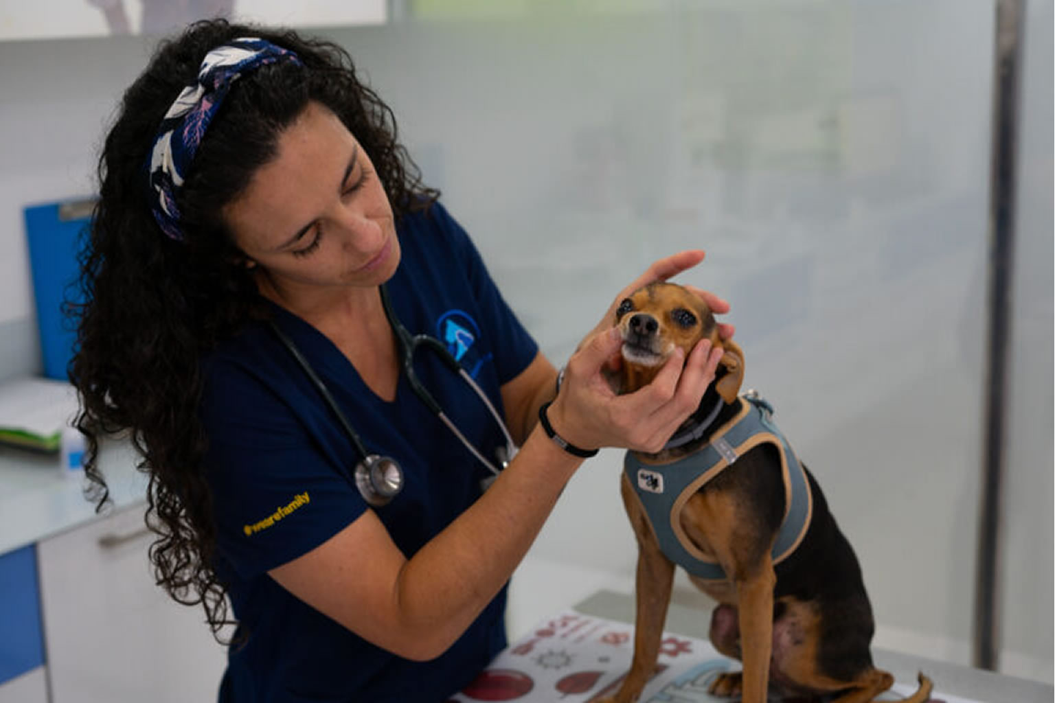 Hospital Veterinario Sevilla