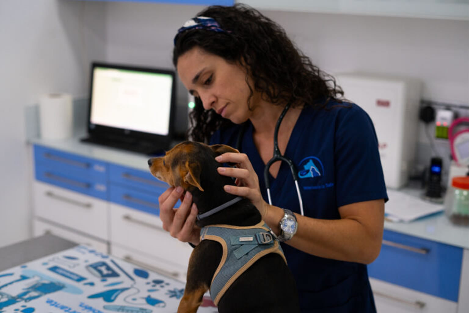 Equipo Veterinario Sevilla